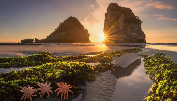 سری چهل و هفتم والپیپر های با کیفیت طبیعت   Nature Wallpapers