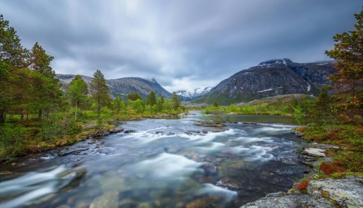 سری چهل و هفتم والپیپر های با کیفیت طبیعت   Nature Wallpapers