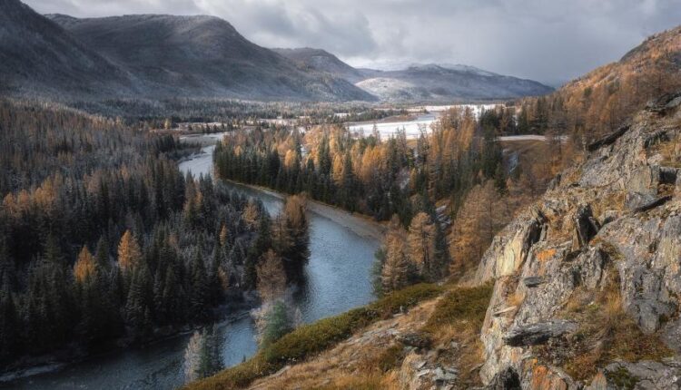 سری چهل و هفتم والپیپر های با کیفیت طبیعت   Nature Wallpapers