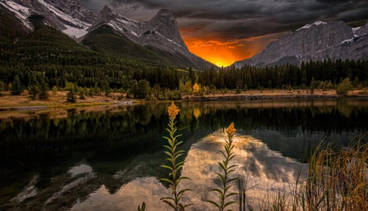 سری چهل و هفتم والپیپر های با کیفیت طبیعت   Nature Wallpapers