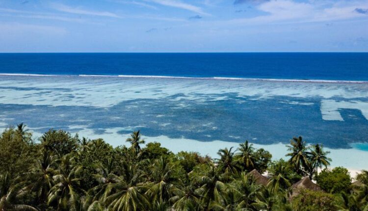 سری چهل و هفتم والپیپر های با کیفیت طبیعت   Nature Wallpapers