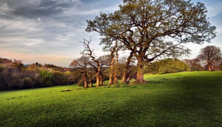 سری چهل و هفتم والپیپر های با کیفیت طبیعت   Nature Wallpapers