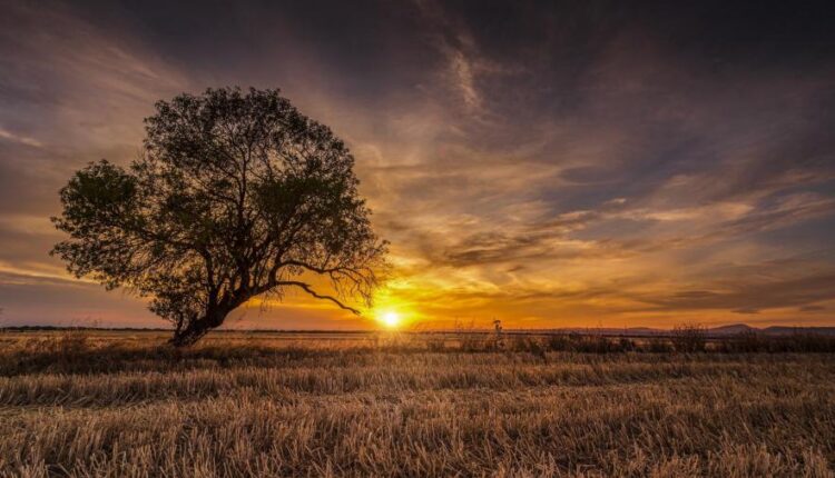 سری چهل و هفتم والپیپر های با کیفیت طبیعت   Nature Wallpapers