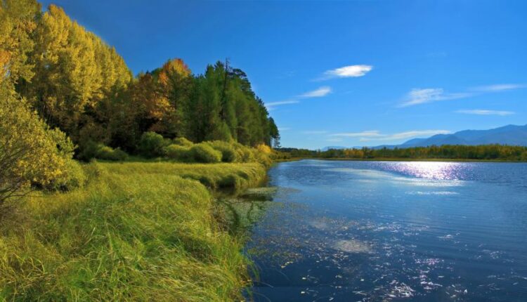 سری چهل و هفتم والپیپر های با کیفیت طبیعت   Nature Wallpapers