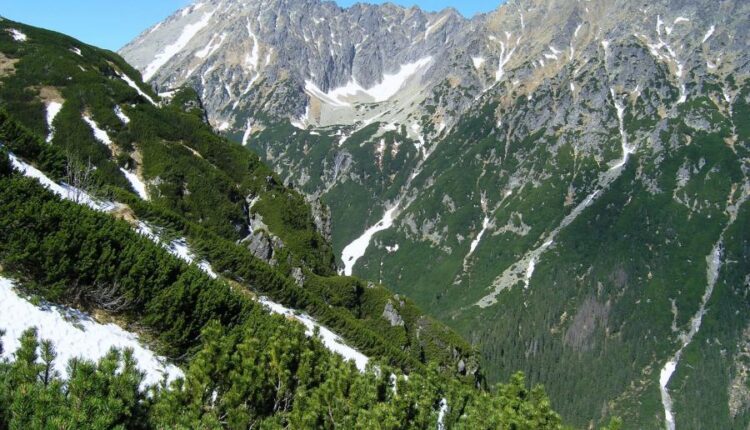 سری چهل و هفتم والپیپر های با کیفیت طبیعت   Nature Wallpapers