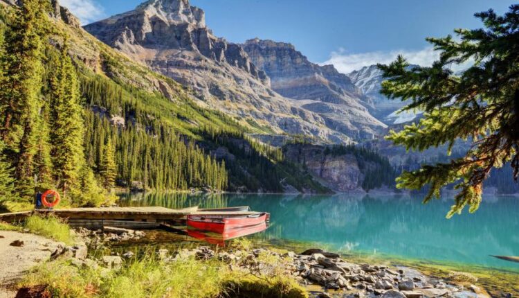 سری چهل و هفتم والپیپر های با کیفیت طبیعت   Nature Wallpapers