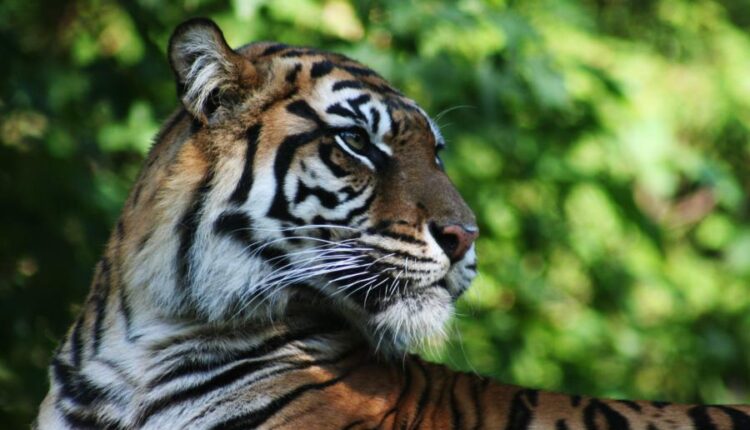 سری سی و پنجم عکس زمینه های جذاب   Beautiful Wallpapers