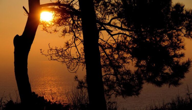 سری سی و پنجم عکس زمینه های جذاب   Beautiful Wallpapers