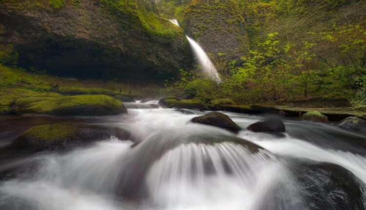 سری سی و پنجم عکس زمینه های جذاب   Beautiful Wallpapers