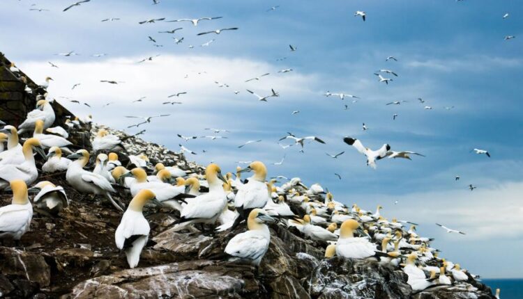 سری سی و پنجم عکس زمینه های جذاب   Beautiful Wallpapers