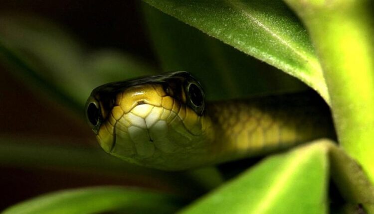 سری سی و پنجم عکس زمینه های جذاب   Beautiful Wallpapers