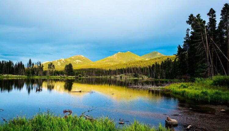 سری سی و پنجم عکس زمینه های جذاب   Beautiful Wallpapers