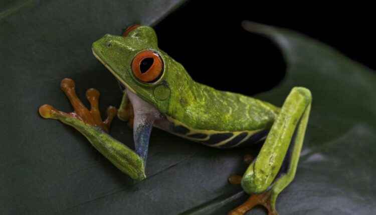 سری سی و پنجم عکس زمینه های جذاب   Beautiful Wallpapers