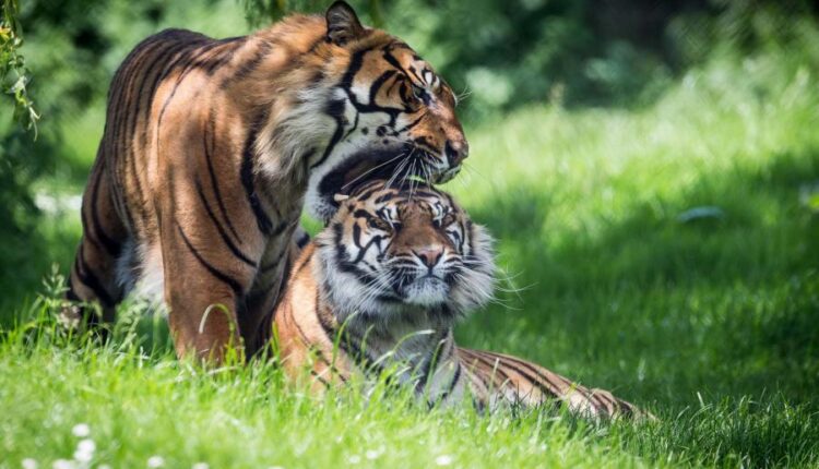 سری سی و هشتم تصویر زمینه های جذاب   Beautiful Wallpapers