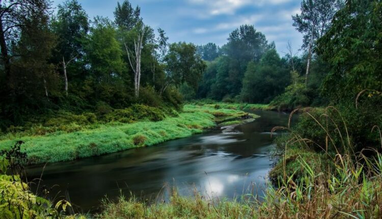 سری سی و هشتم تصویر زمینه های جذاب   Beautiful Wallpapers