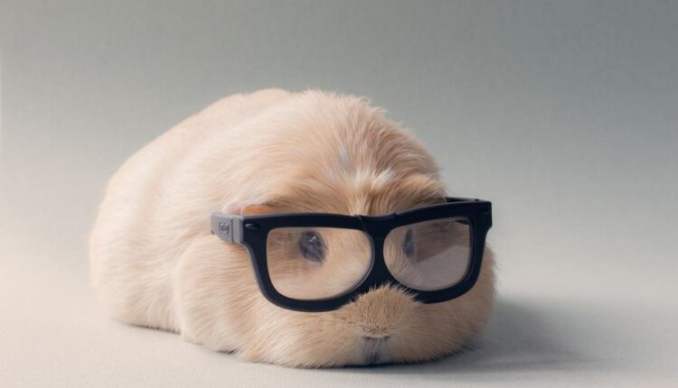 سری سی و هشتم تصویر زمینه های جذاب   Beautiful Wallpapers