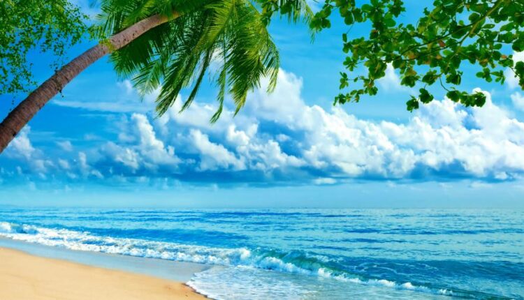 سری سی و هشتم تصویر زمینه های جذاب   Beautiful Wallpapers