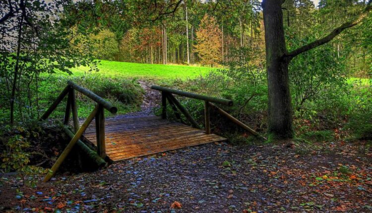 سری سی و هشتم تصویر زمینه های جذاب   Beautiful Wallpapers