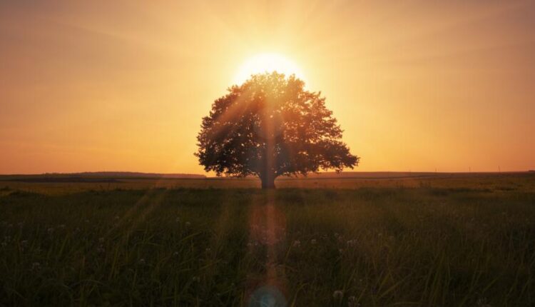 سری سی و هشتم تصویر زمینه های جذاب   Beautiful Wallpapers