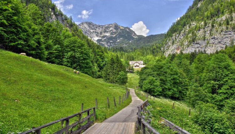 سری سی و هشتم تصویر زمینه های جذاب   Beautiful Wallpapers