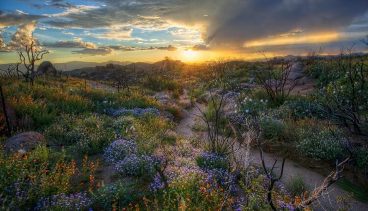 سری سی و هشتم تصویر زمینه های جذاب   Beautiful Wallpapers