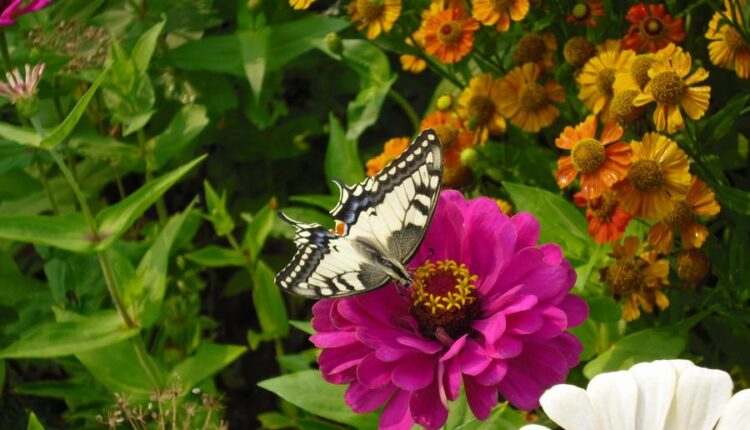 سری سی و هشتم تصویر زمینه های جذاب   Beautiful Wallpapers