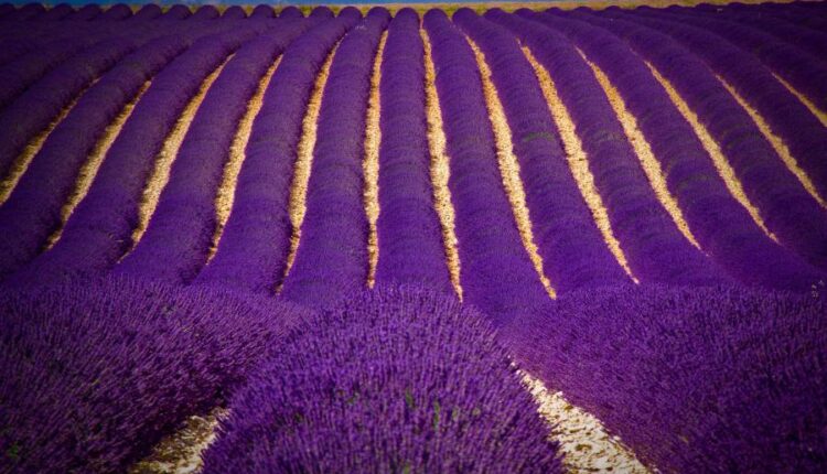 سری سی و هشتم تصویر زمینه های جذاب   Beautiful Wallpapers