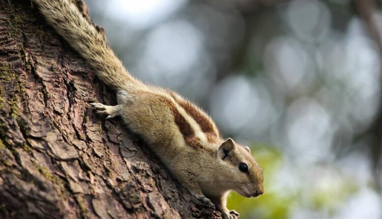 سری سی و هشتم تصویر زمینه های جذاب   Beautiful Wallpapers