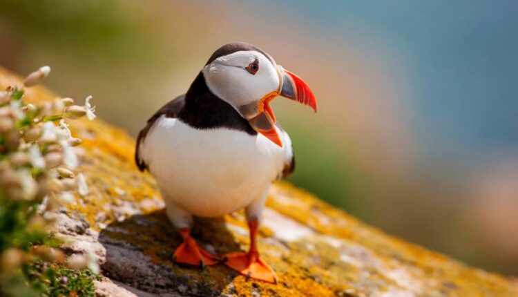 سری سی و هشتم تصویر زمینه های جذاب   Beautiful Wallpapers