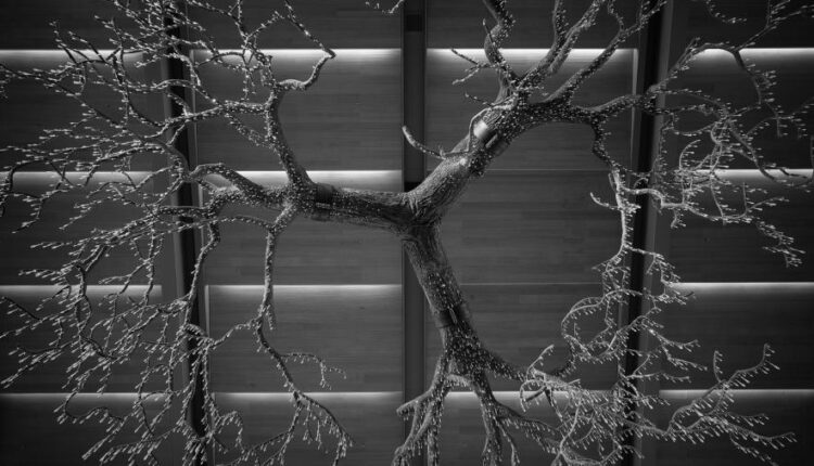 سری سی و هشتم تصویر زمینه های جذاب   Beautiful Wallpapers