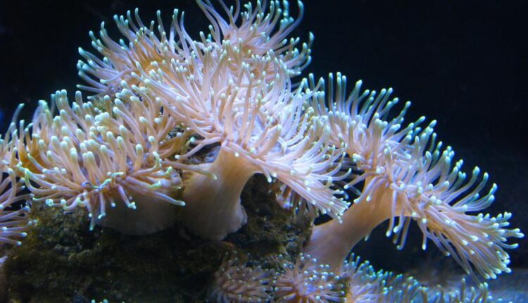 سری چهل و یکم والپیپر های جذاب   Beautiful Wallpapers