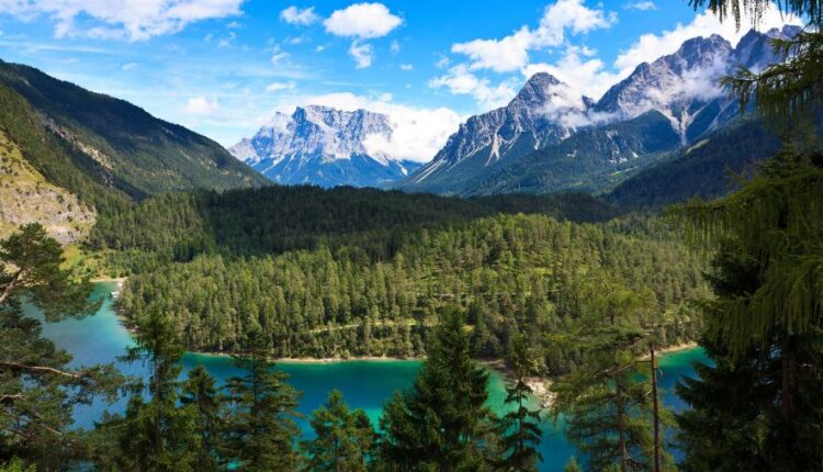 سری چهل و یکم والپیپر های جذاب   Beautiful Wallpapers