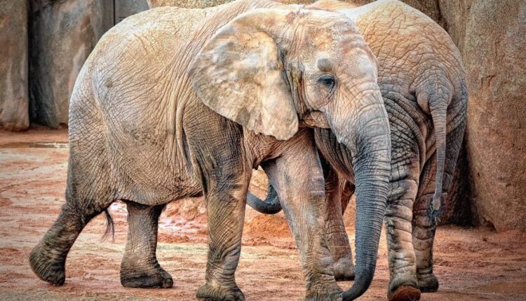 سری چهل و یکم والپیپر های جذاب   Beautiful Wallpapers