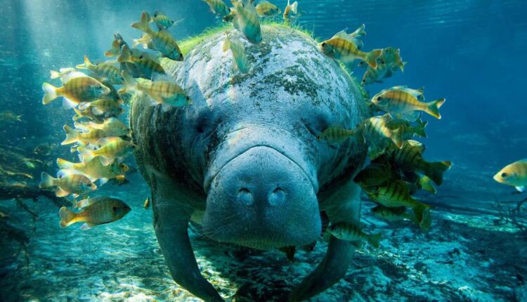 سری چهل و یکم والپیپر های جذاب   Beautiful Wallpapers