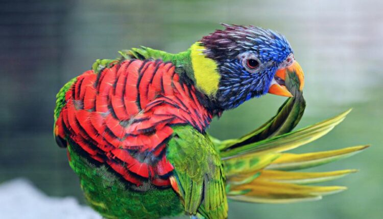 سری چهل و یکم والپیپر های جذاب   Beautiful Wallpapers