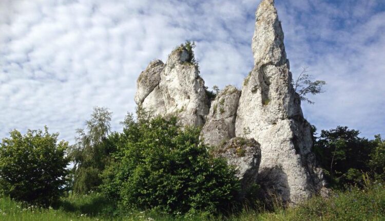 سری چهل و یکم والپیپر های جذاب   Beautiful Wallpapers