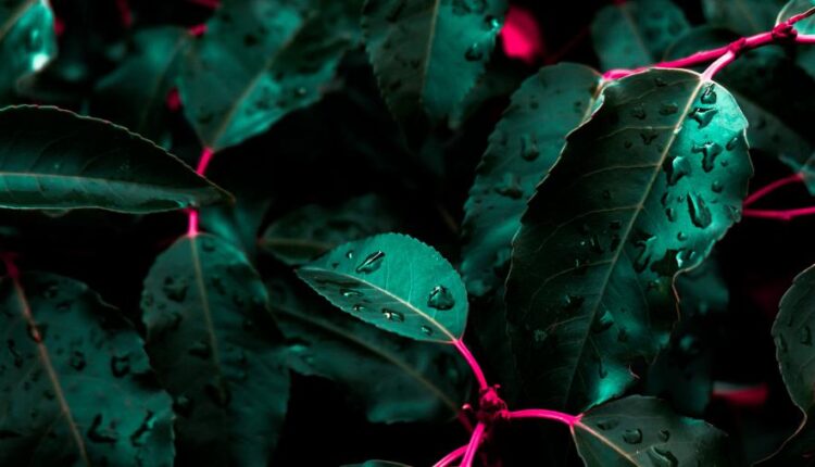 سری چهل و یکم والپیپر های جذاب   Beautiful Wallpapers