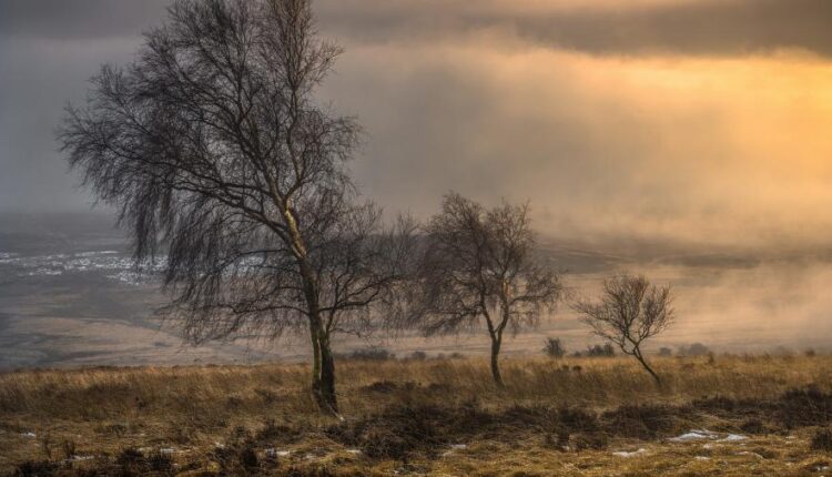 سری چهل و یکم والپیپر های جذاب   Beautiful Wallpapers