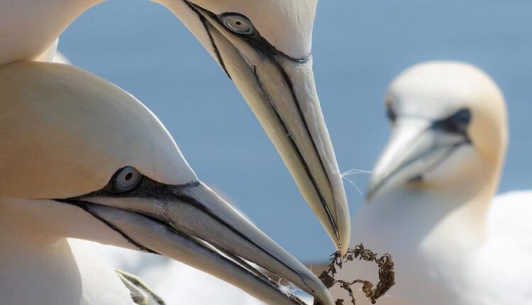 سری چهل و یکم والپیپر های جذاب   Beautiful Wallpapers