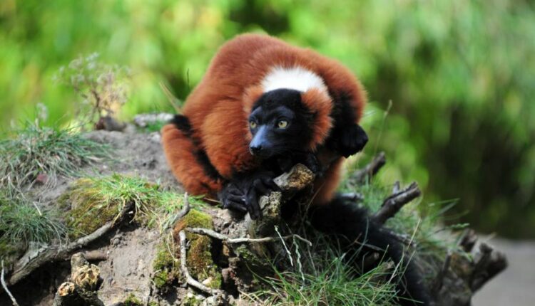 سری چهل و چهارم بک گراند های جذاب   Beautiful Wallpapers