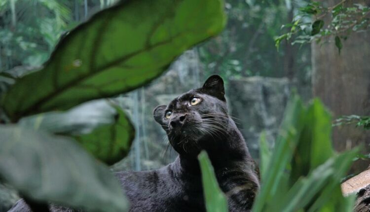 سری چهل و چهارم بک گراند های جذاب   Beautiful Wallpapers