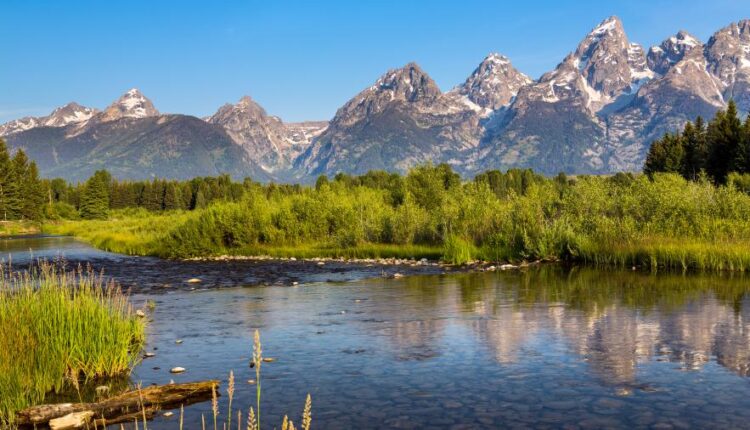 سری چهل و چهارم بک گراند های جذاب   Beautiful Wallpapers