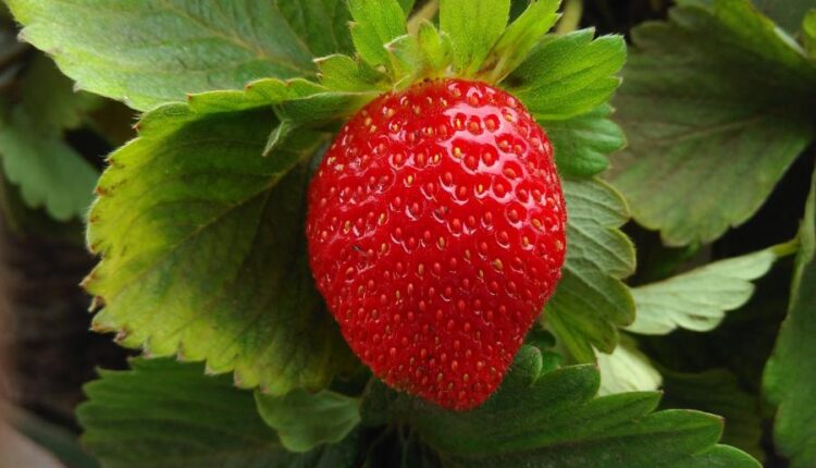 سری چهل و چهارم بک گراند های جذاب   Beautiful Wallpapers