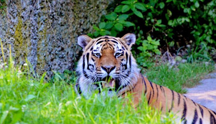 سری چهل و چهارم بک گراند های جذاب   Beautiful Wallpapers