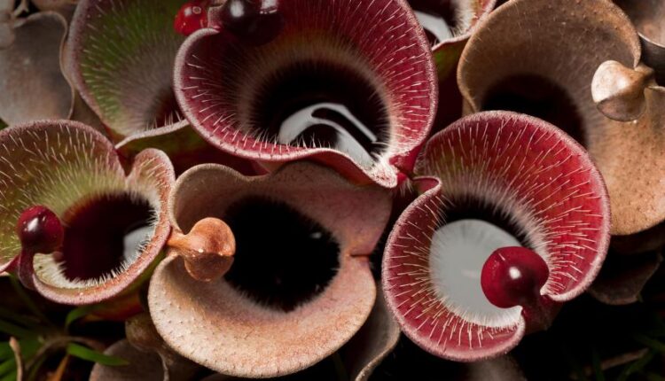 سری چهل و چهارم بک گراند های جذاب   Beautiful Wallpapers