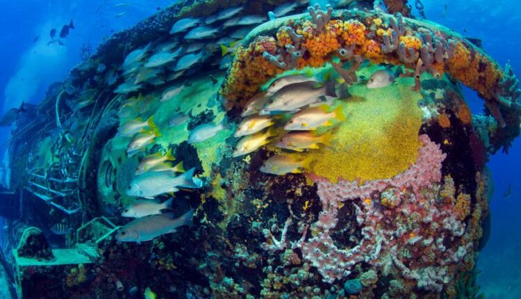 سری چهل و چهارم بک گراند های جذاب   Beautiful Wallpapers