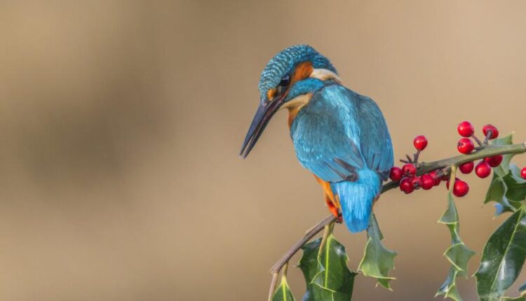 سری چهل و چهارم بک گراند های جذاب   Beautiful Wallpapers