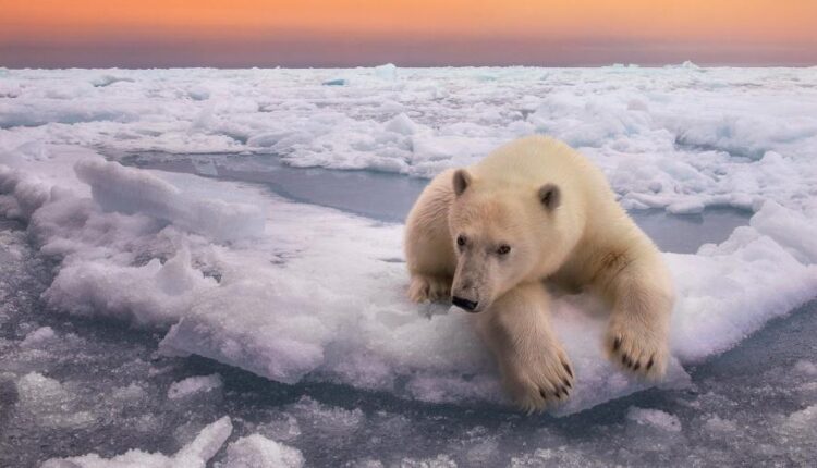 سری چهل و چهارم بک گراند های جذاب   Beautiful Wallpapers