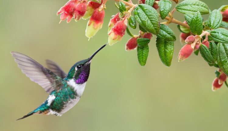 سری چهل و چهارم بک گراند های جذاب   Beautiful Wallpapers