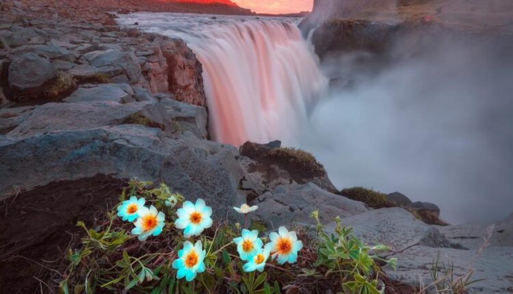 سری چهل و چهارم بک گراند های جذاب   Beautiful Wallpapers